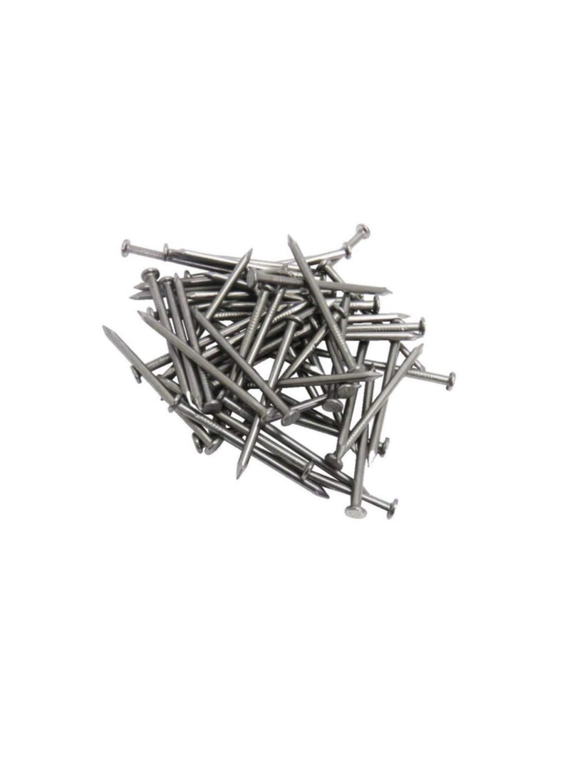 High Strength Round Head Nails For Carpentry Hardware Electrical Etc (75, 2 inch)  - Image 1