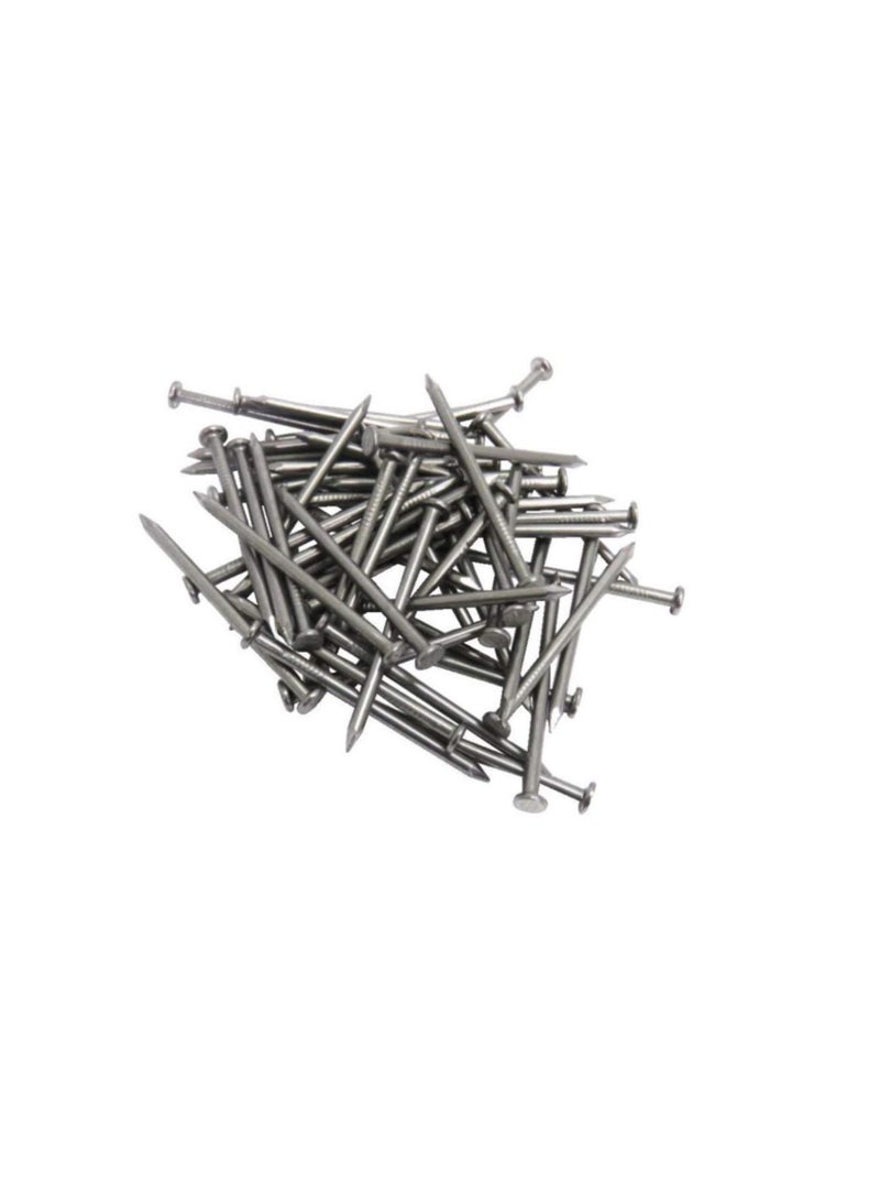 High Strength Round Head Nails For Carpentry Hardware Electrical Etc (75, 2 inch)  - Image 3
