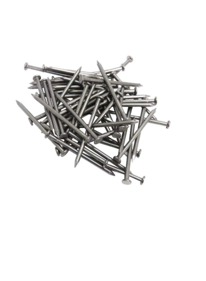 High Strength Round Head Nails For Carpentry Hardware Electrical Etc (75, 2 inch)  - Image 2