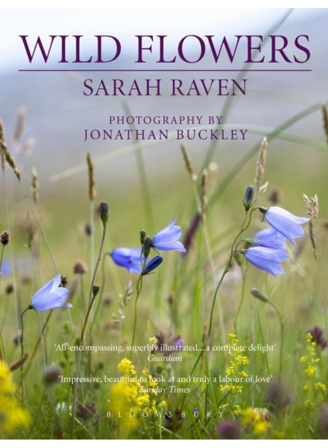 Sarah Raven's Wild Flowers