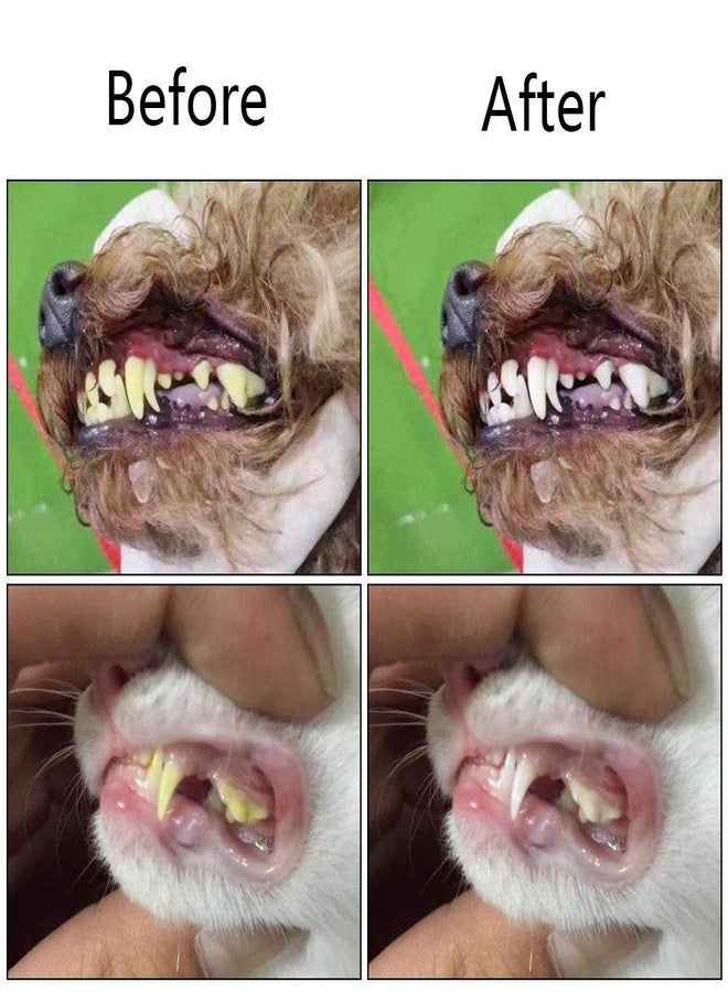Orgrimmar 2 PCS 3-Sided Pet Toothbrush Dog Toothbrush Removing Bad Breath Tartar Cleaning Mouth Pet Dental Care Cat Cleaning Mouth - Image 5