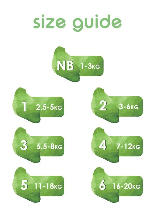 PureBorn Organic Bamboo Baby Diapers Size 1| Tape Style Diapers Hypoallergenic nappies |Upto 5 kgs| Pack of 3x68s Count 204 | Assorted Print - Image 5