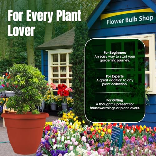 IMAGINEA 18 Inch Flower Pot for Home Decoration | Big Size Plastic Pot for Living Room, Office | Gamla for Plants | Planter Pots for Balcony | Large Pots for Garden | Plant Pot (Pack of 2) - Image 5