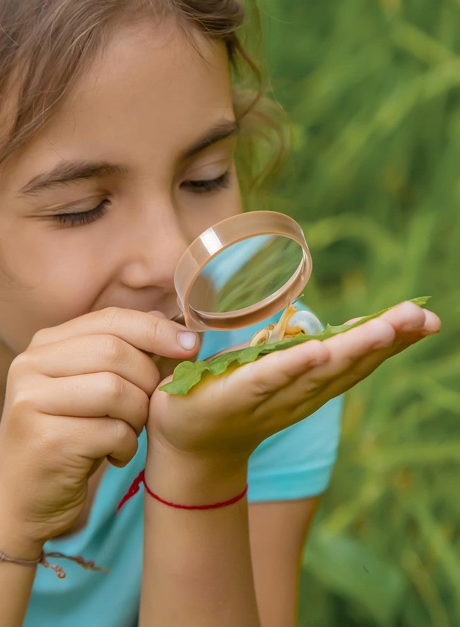 ROBUD Upgraded Kids Explorer Kit, Bug Catcher Kit with Wild Adventure Binoculars, Green Outdoor Exploration Set for Camping, Montessroi Toy for Kids Coming Closer to Nature，WRP30 - Image 5