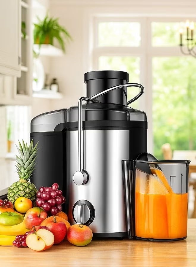 Denx Electric fruit and vegetable juicer with a power of 800 watts and a capacity of 600 ml - Image 1