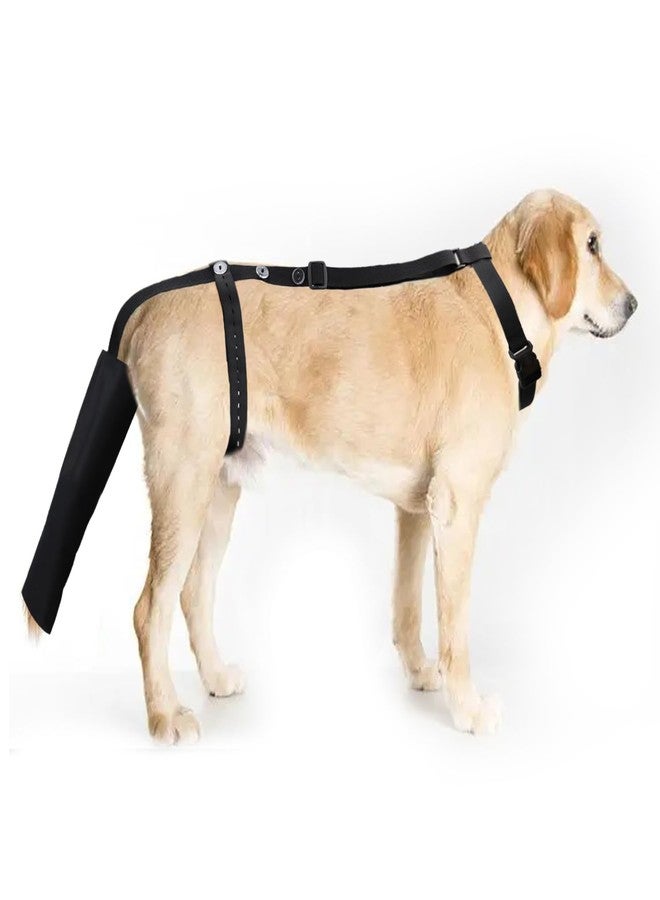 vomvomp Dog Tail Guard Dogs Tail Protector Bag Dogs Tails Heal Sleeve for Dog Happy Tail Syndrome - Image 1
