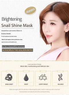 SNAIL Snail Mask  - Image 3
