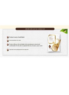 SNAIL Snail Mask  - Image 2