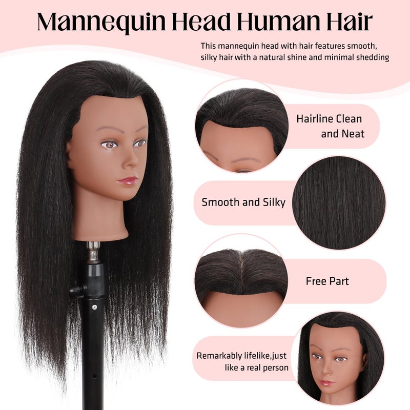 Demides Mannequin Head 100% Real Human Hair 16", Mannequin Head Human Hair Cosmetology Doll Head for Hair Styling, Manikin Head for Braiding With Clamp Holder - Image 2