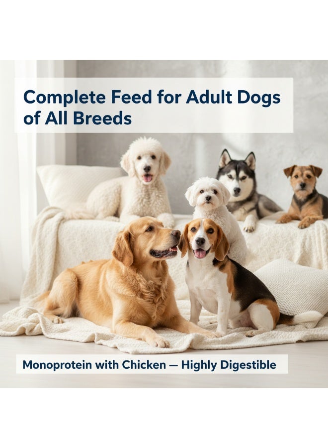 Winner Plus Super Premium Adult  | Premium Nutrition | All Dogs Breeds | 3 Kg - Image 2