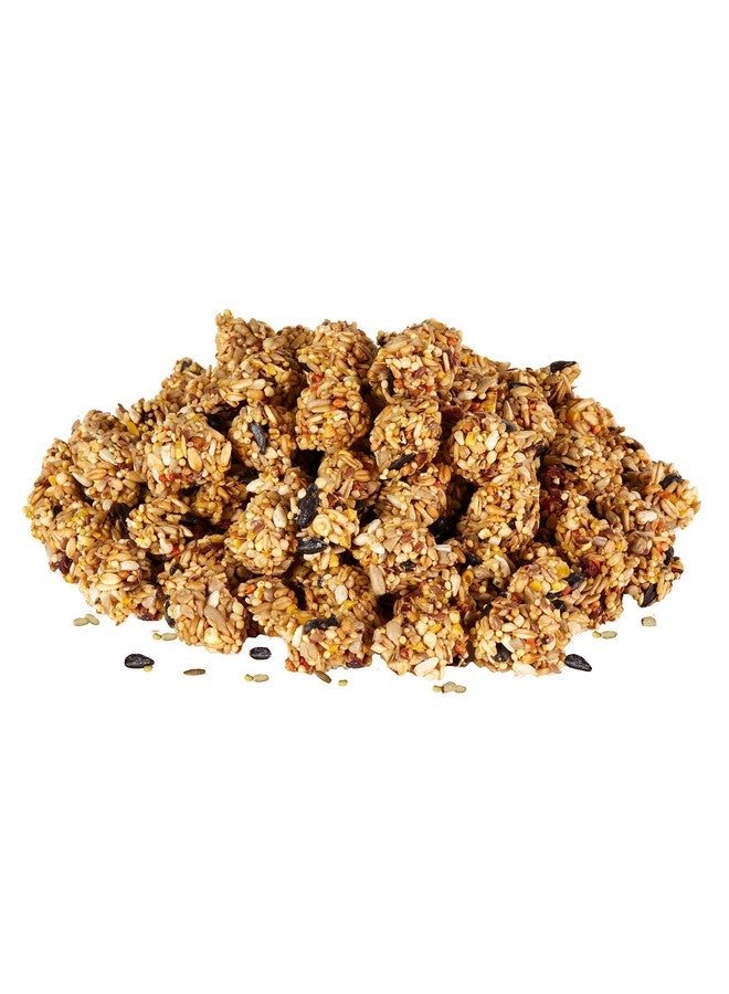 Kaytee Granola Bites With Superfoods Cranberry, Apple And Flax For Rats, Mice, Hamsters, Gerbils, Rabbits, Guinea Pigs And Chinchillas, 4.5 Oz - Image 1