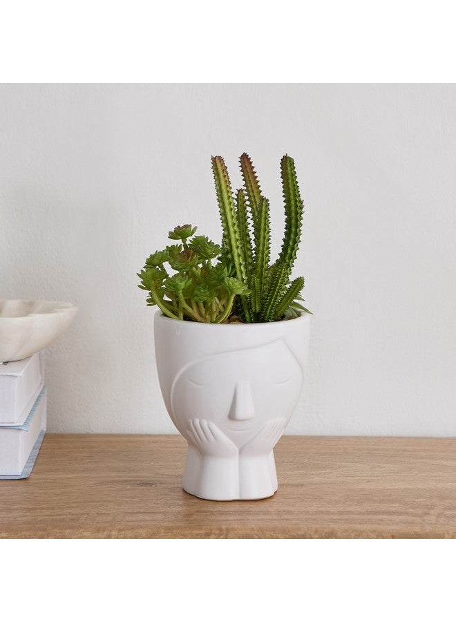 Home Box Ceilo Succulents Arrangement in Urn Ceramic Pot 11 x 24 x 11 cm  - Image 1