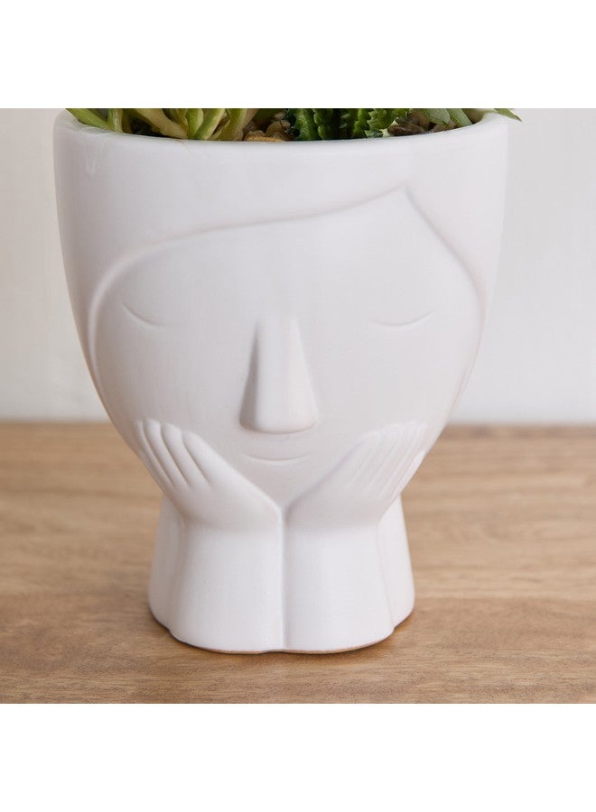 Home Box Ceilo Succulents Arrangement in Urn Ceramic Pot 11 x 24 x 11 cm  - Image 3