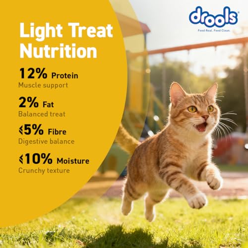 Drools Adult Cat Treat Biscuits 400g Jar | Real Chicken Flavour | Encourages Activity | Supports Oral Health | Training & Discipline - Image 2