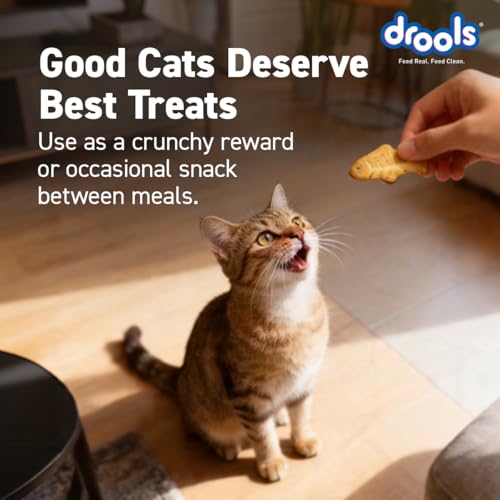 Drools Adult Cat Treat Biscuits 400g Jar | Real Chicken Flavour | Encourages Activity | Supports Oral Health | Training & Discipline - Image 4
