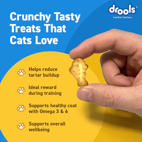 Drools Adult Cat Treat Biscuits 400g Jar | Real Chicken Flavour | Encourages Activity | Supports Oral Health | Training & Discipline - Image 3