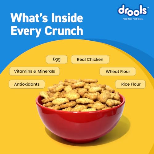 Drools Adult Cat Treat Biscuits 400g Jar | Real Chicken Flavour | Encourages Activity | Supports Oral Health | Training & Discipline - Image 5