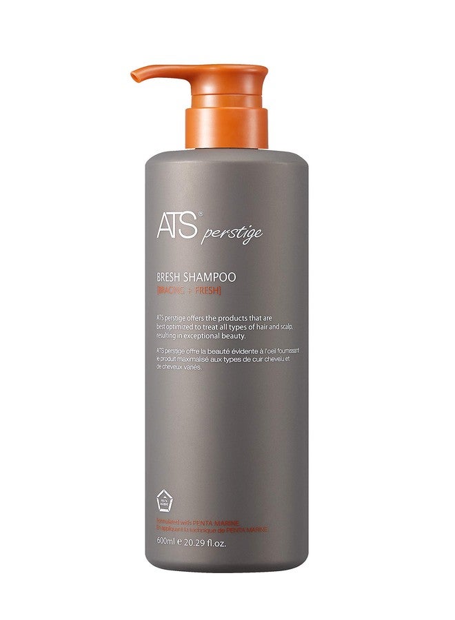 ATS Professional ATS Perstige Bresh Shampoo - 600ML, Oily Scalp and Soothing Silicone Free Shampoo - Image 1