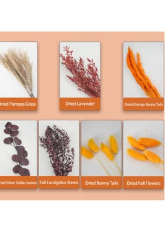 SYOSI Fall Dried Pampas Grass Bouquets, Natural Orange Bunny Tails and Dried Flowers for Vases, Autumn Boho Home Wedding Floral Arrangement, Fall Table Centerpieces Decorations  - Image 5