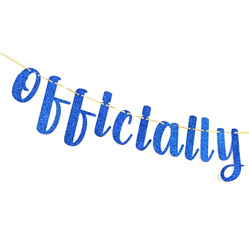 Festiko®Royal Blue Glitter Happy 13th Birthday Banner - Teen's 13th Birthday Party Decorations - Thirteen Years Old Birthday Banner - Image 5