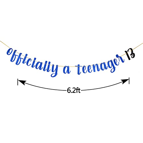 Festiko®Royal Blue Glitter Happy 13th Birthday Banner - Teen's 13th Birthday Party Decorations - Thirteen Years Old Birthday Banner - Image 3