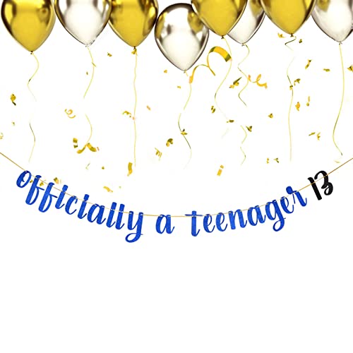 Festiko®Royal Blue Glitter Happy 13th Birthday Banner - Teen's 13th Birthday Party Decorations - Thirteen Years Old Birthday Banner - Image 2