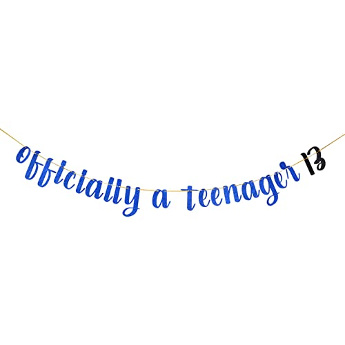 Festiko®Royal Blue Glitter Happy 13th Birthday Banner - Teen's 13th Birthday Party Decorations - Thirteen Years Old Birthday Banner - Image 1