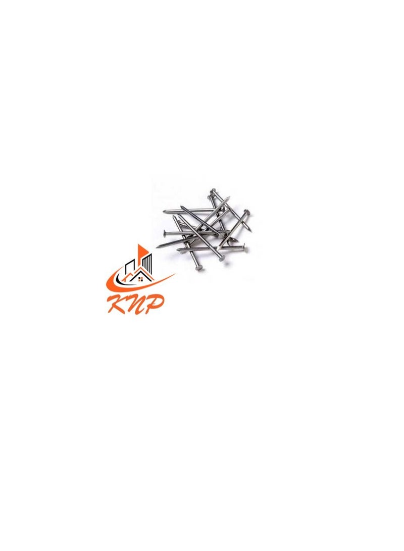 KNP KNP Common Wire Nail 25mm (1") 120grams - Image 2