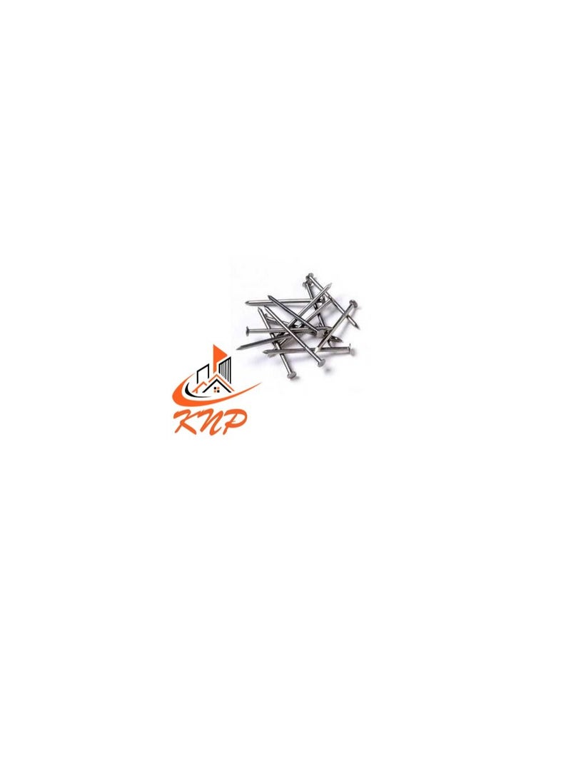 KNP KNP Common Wire Nail 25mm (1") 120grams - Image 3