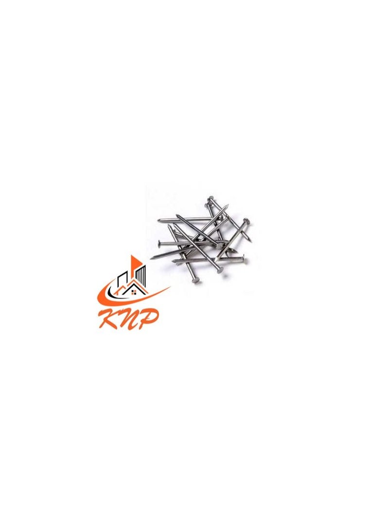 KNP KNP Common Wire Nail 25mm (1") 120grams - Image 1