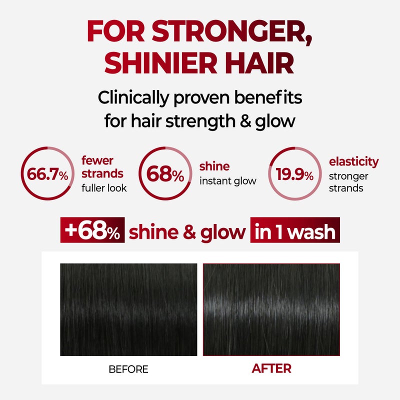 KUNDAL Korean Caffeine Scalp Shampoo [Cherry Blossom] â€“ Sulfate-Free Hair Care with Menthol & Botanical Extracts â€“ For Fuller-Looking Hair, Scalp Refresh & Strength â€“ 16.9 Fl Oz, Stocking Stuffers - Image 3