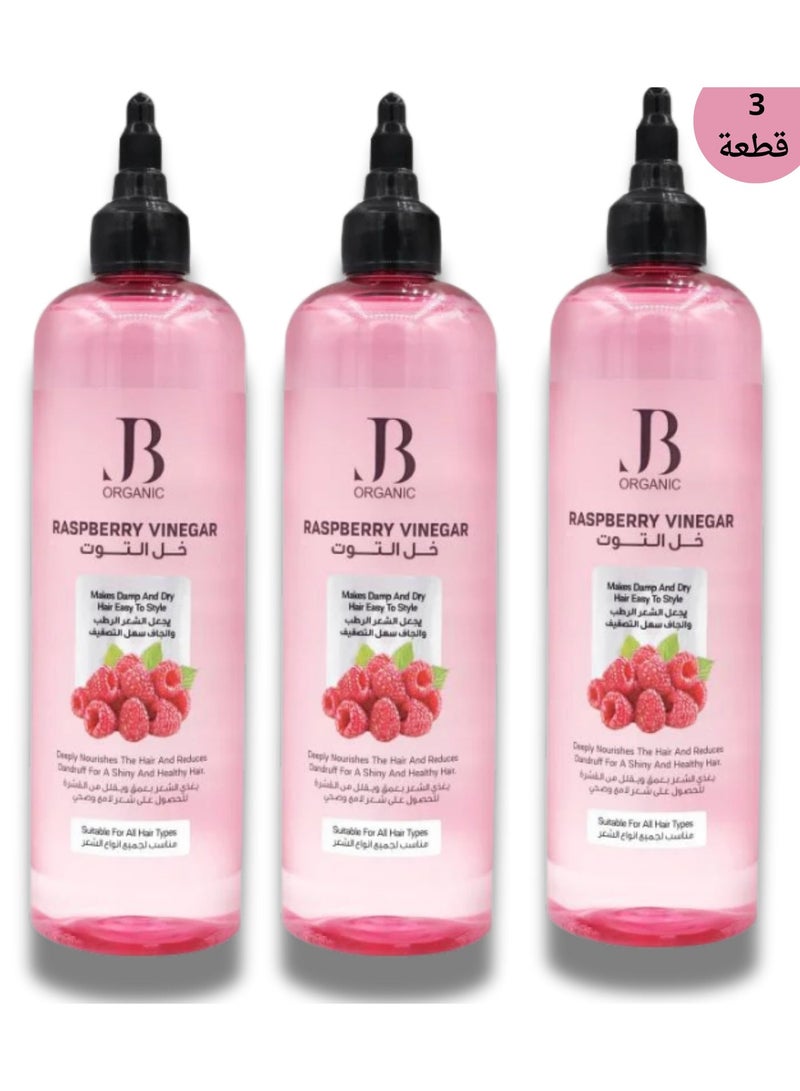 جي بي اورجانيك (3 قطعة) تونيك خل التوت من جي بي اورجانيك هو الحل المثالي لإحياء شعرك بلمسة طبيعية ومنحه مظهرًا صحيًا ومشرقًا 3*400 مل - Image 1