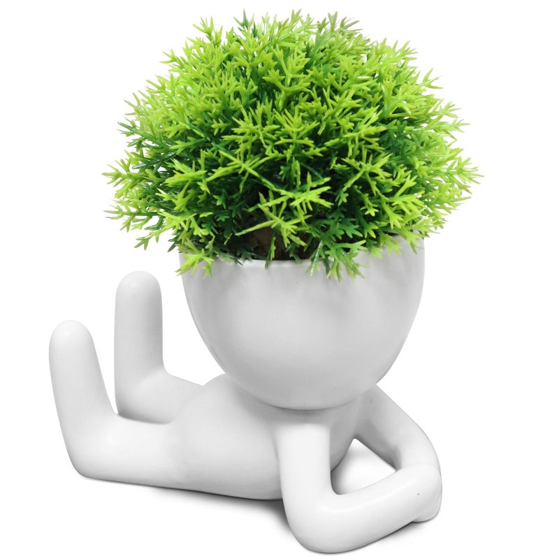 Zerzsy Mini Succulent Plant - Plants Gift - Cute Desktop Decoration Desk Decorations for Women Office -Small Plants Shelf Decor-Cute Cubicle Accessories-Set of 1 - Image 1