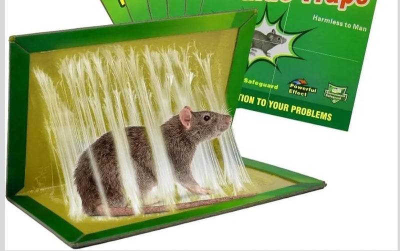 Sticky Mouse and Rat Trap, Green Glue Board for Rodents, 3 Pieces - Image 4