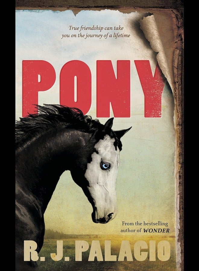 Pony: from the bestselling author of Wonder