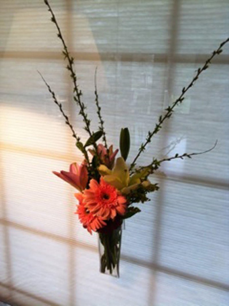 Gadjit Vinyl Window Vase Shaped Like a Flower Pot  Suctions to Windows and Mirrors Holds Bouquet of Flower Stems and Water Clear Flexible Vinyl - Image 3