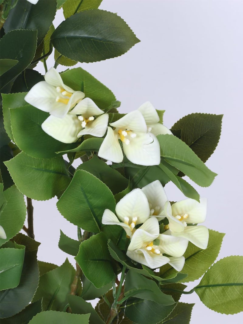 Home Bloom Artificial Bougainvillea Flowers Plants with Pot for Interior Decor/Home Decor/Office Decor (140 cm-Bougainvillea/White) - Image 3