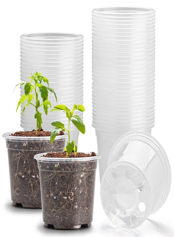 RooTrimmer Clear Seedling pots 100-Pack 3.2 Inches Round for Seeds Starter Pots, Seeds Germination Transparent Clean Pots with Drainage Holes(100 Pcs, 3.14Inch) - Image 1