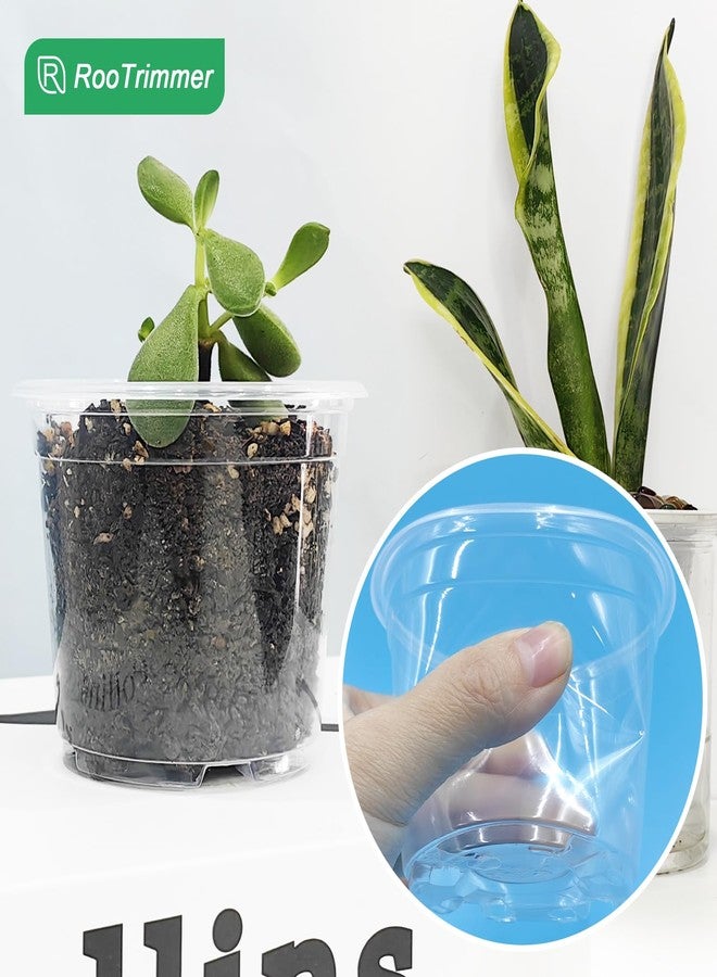 RooTrimmer Clear Seedling pots 100-Pack 3.2 Inches Round for Seeds Starter Pots, Seeds Germination Transparent Clean Pots with Drainage Holes(100 Pcs, 3.14Inch) - Image 5