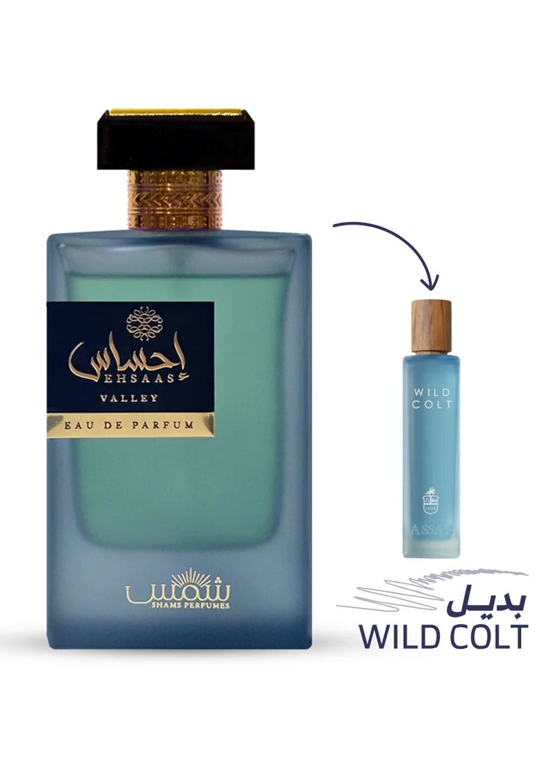 Shams Ehsas Valley Unisex Perfume by Shams - 100ml - Image 2