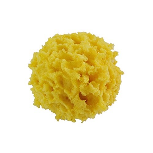Giani 4" Textured Sponge - Image 3