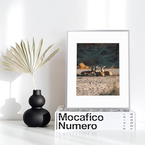 Frametory, 12x16 Aluminum Picture Frame - 12 x 16 Silver Frame with Removable Mat for 8.5 x 11 Photo - 16 by 12 Durable Metal Frame with Real Glass - Sawtooth Hanger for Easy Wall Display - 1 Pack - Image 2