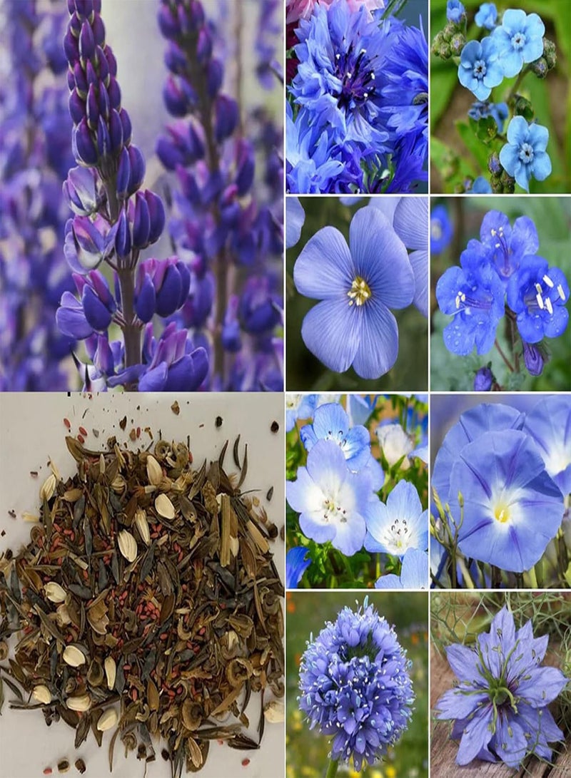GGOOT 300Pcs Large Pack Wild Flower Seeds | Fast Growth Decorative Natural Floral Plant Seeds Assorted Pack for Garden Seeds 1size  - Image 1