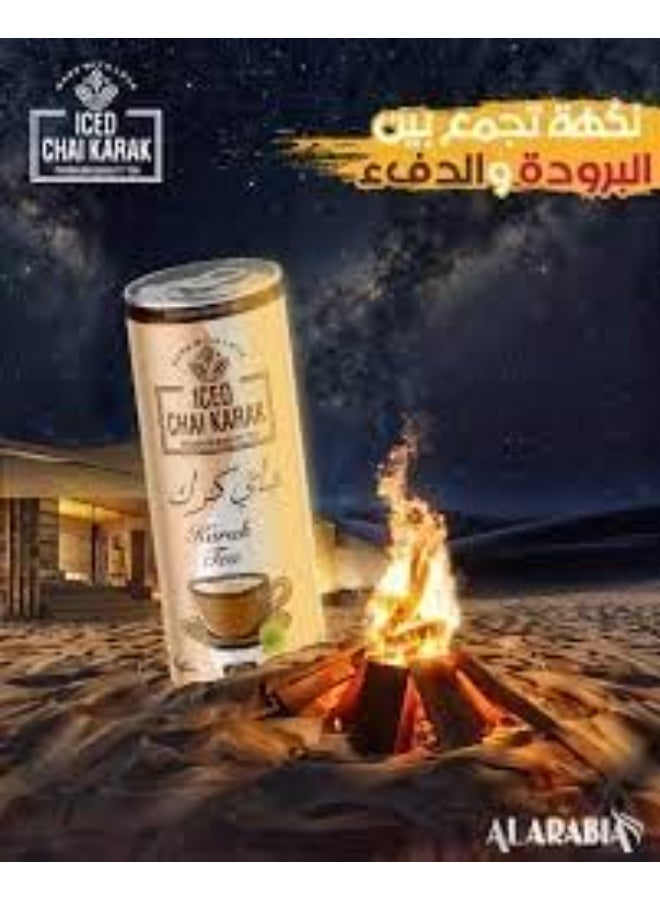 شاي كرك مثلج بنكهة الماسالا – مشروب شاي بالحليب منعش بالتوابل | مذاق الشاي الهندي الأصيل | علب 250 مل، عبوة 3 - Image 3