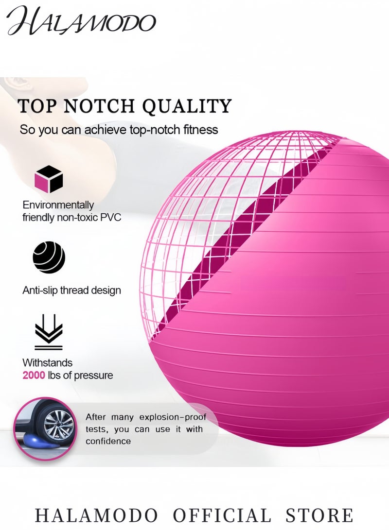 HALAMODO Yoga Ball Exercise Ball for Fitness Anti-Burst Stability Ball with Pump Non-Slip Pilates Balance Ball for Home Office Pregnancy Physical Therapy  - Image 2