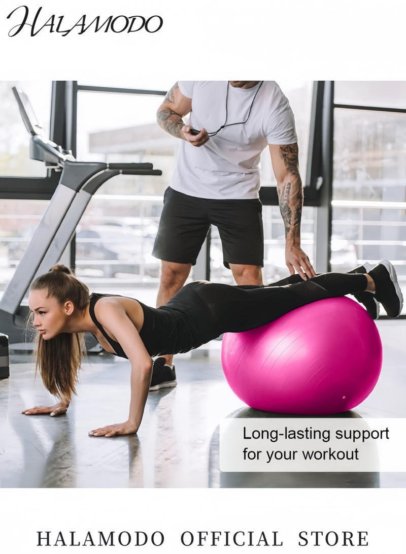 HALAMODO Yoga Ball Exercise Ball for Fitness Anti-Burst Stability Ball with Pump Non-Slip Pilates Balance Ball for Home Office Pregnancy Physical Therapy  - Image 5