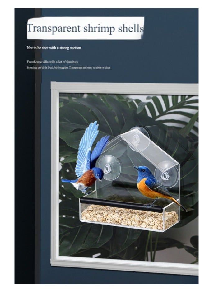 آنا حامل طيور مع نافذة شفافة من الأكريليك للتعليق في الهواء الطلق - Image 4