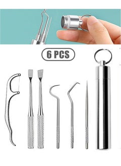 Dental Floss Picks Toothpicks, Portable Stainless Steel Tooth Pick Set, Reusable Tooth Stains Remover Dental Tool Teeth Cleaning Tools with Holder for Outdoor Picnic Camping Travel (Silver)