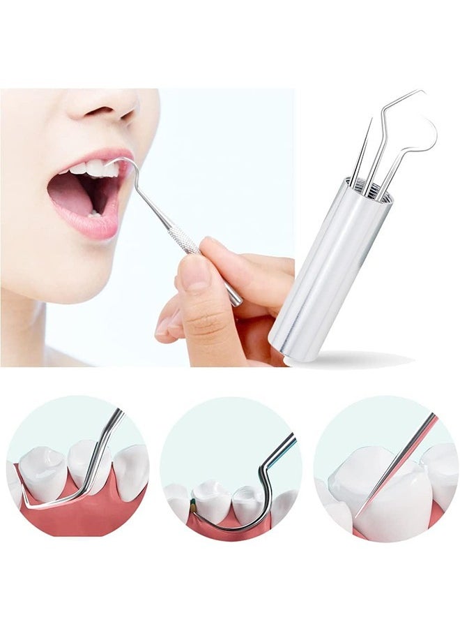 Generic - Dental Floss Picks Toothpicks, Portable Stainless Steel Tooth Pick Set, Reusable Tooth Stains Remover Dental Tool Teeth Cleaning Tools with Holder for Outdoor Picnic Camping Travel (Silver) - Image 1