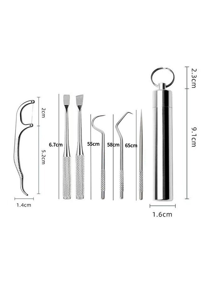 Generic - Dental Floss Picks Toothpicks, Portable Stainless Steel Tooth Pick Set, Reusable Tooth Stains Remover Dental Tool Teeth Cleaning Tools with Holder for Outdoor Picnic Camping Travel (Silver) - Image 1